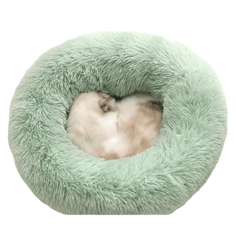 Darrahopens Pet Care > Cat Supplies > Cat Furniture Green Cozy Donut Long Plush Cat & Dog Calming Bed(Diameter 50cm) - Double-Layer PP Cotton Filling Warming Pet Bed with Anti-Slip Base & Free Blanket