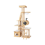 Darrahopens Pet Care > Cat Supplies > Cat Furniture HONEYPOTCAT Regal Wood Retreat - 195cm