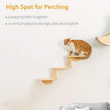Darrahopens Pet Care > Cat Supplies > Cat Furniture Solid Wood Wall Mounted Cat Climbing Tree Rack Platform Space Capsule Bed Shelf