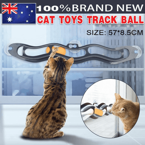 Darrahopens Pet Care > Cat Supplies > Cat Scratchers Interactive Cat Track Ball Toy with Window Suction Cup for Indoor Play and Exercise