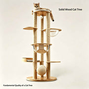 Darrahopens Pet Care > Cat Supplies > Cat Scratching Posts Acrylic Space Capsule Cat Tree In Australia - Darrahopens