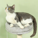 Darrahopens Pet Care > Cat Supplies > Cat Scratching Posts CARLA HOME Large Cat Tree Tower for Indoor Cats with Plush Perch, Cat Condo, Natural Sisal Scratching Posts, Hanging Ball & Paw Scratcher
