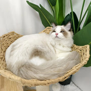 Darrahopens Pet Care > Cat Supplies > Cat Scratching Posts Large Cat Scratching Post Tree Tower with Baskets and Cubby Cave in Natural Wood & White, 60x40x99cm In Australia - Darrahopens