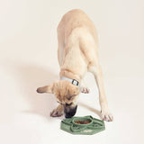 Darrahopens Pet Care > Cat Supplies Flower Mandala Slow Feeder Lick Mat Bowl - Green