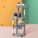 Darrahopens Pet Care > Cat Supplies i.Pet Cat Tree Tower Scratching Post Scratcher 143cm Condo House Trees Grey