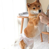 Darrahopens Pet Care > Cleaning & Maintenance Ondoing Cargo Pet Car Boot Back Seat Cover Rear Dog Waterproof Protector Liner Mat Pad Black Large