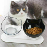 Darrahopens Pet Care > Cleaning & Maintenance > Pet Grooming Supplies Double Cat Bowl Pet Bowls Stand Dog Elevated Feeder Food Water Raised Lifted Au - Black+Black