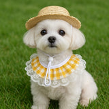 Darrahopens Pet Care > Cleaning & Maintenance > Pet Grooming Supplies Khaki and Yellow 2 Sets Adorable Porch Goose & Small Pet Costume Set - 2 Summer Straw Hat & 2 Gingham Bib