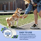 Darrahopens Pet Care > Cleaning & Maintenance > Pet Grooming Supplies Paw & Nose Care Balm for Dogs and Cats – Deep Moisturizing Treatment for Cracked Pads and Dry Noses, with Coconut Oil or Blueberry Extract, Ideal for Home or On-the-Go Use (OLI00743) In Australia - Darrahopens