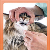 Darrahopens Pet Care > Cleaning & Maintenance > Pet Grooming Supplies Pet Toothbrush Toothpaste Set for Cats and Dogs Vanilla Flavor Oral Care Kit
