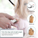 Darrahopens Pet Care > Cleaning & Maintenance > Pet Grooming Supplies Rechargeable Pet Hair Clippers Professional Grooming Kit for Cats and Dogs