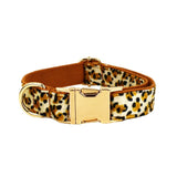 Darrahopens Pet Care > Cleaning & Maintenance > Pet Grooming Supplies XL Luxury 5 Piece Dog Harness and Collar Set Leopard Print with Leash Bow Tie & Waste Bag Holder Gold Metal Buckle Walking Gear