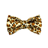 Darrahopens Pet Care > Cleaning & Maintenance > Pet Grooming Supplies XS Luxury 5 Piece Dog Harness and Collar Set Leopard Print with Leash Bow Tie & Waste Bag Holder Gold Metal Buckle Walking Gear