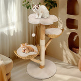 Darrahopens Pet Care > Cleaning & Maintenance > Pet Medical Collars Solid Wood Cat Tree with 3 Branches & Baskets