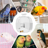 Darrahopens Pet Care > Coops & Hutches > Coop & Hutch Accessories 450ml Parrot Water Bottle Bird Drinker Feeder Large Capacity for Birds and Pet
