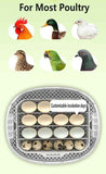 Darrahopens Pet Care > Coops & Hutches > Coop & Hutch Accessories Automatic Egg Incubator 16-30 Eggs Chicken Duck Poultry Hatcher Breeder Candler