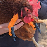 Darrahopens Pet Care > Coops & Hutches > Coop & Hutch Accessories Chicken arms with Guns,Fun, Durable, Rooster Pistol Party, Perfect for Parties, Photoshoots and Pranks Costumes for Chickens to wear(White)