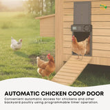 Darrahopens Pet Care > Coops & Hutches > Coop & Hutch Accessories Rooster Farms Automatic Chicken Coop Door - Battery Timer Anti Pinch Safety In Australia - Darrahopens
