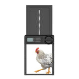 Darrahopens Pet Care > Coops & Hutches > Coop & Hutch Accessories Rooster Farms Automatic Chicken Coop Door - Battery Timer Anti Pinch Safety In Australia - Darrahopens