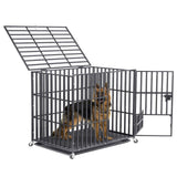 Darrahopens Pet Care > Coops & Hutches > Small Animal Habitats & Cages Heavy Duty Dog Cage with Lock & Bottom Tray