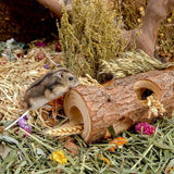 Darrahopens Pet Care > Coops & Hutches > Small Animal Habitats & Cages Solid Wood Hamster Pipe Rabbit Chew Toy Tree Cylinder Cross Border Pet Supplies