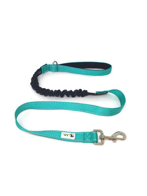 Darrahopens Pet Care > Dog Supplies Bungee Dog Lead Nylon w/Reflective Stitching Turquoise
