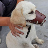 Darrahopens Pet Care > Dog Supplies > Dog Apparel Adjustable PU Leather Dog Muzzle Pet Breathable Anti Bite Bark Chew Muzzles Brown - L