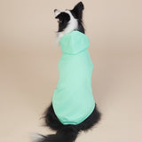 Darrahopens Pet Care > Dog Supplies > Dog Apparel Green Classic Dog Sweatshirt with Hood & Drawstrings - For Large Dogs (Size : 8XL)
