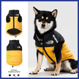 Darrahopens Pet Care > Dog Supplies > Dog Apparel Keep Your Pup Cozy and Visible This Winter – Waterproof, Insulated Dog Coat with Reflective Strips, Front Zipper, D-Ring Leash Attachment, and Adjustable Fit for Daily Walks and Outdoor Adventures (L, Yellow) In Australia - Darrahopens