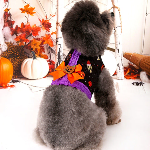 Darrahopens Pet Care > Dog Supplies > Dog Apparel M Halloween Pumpkin Dog Harness Dress - Festive Costume Vest with Leash Ring for Small Dogs