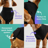Darrahopens Pet Care > Dog Supplies > Dog Apparel Pet physiological pants-M