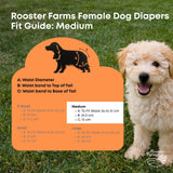 Darrahopens Pet Care > Dog Supplies > Dog Apparel Rooster Farms Female Dog Diapers Medium 3Pk - Washable Reusable Nappy Hook/Loop