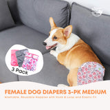 Darrahopens Pet Care > Dog Supplies > Dog Apparel Rooster Farms Female Dog Diapers Medium 3Pk - Washable Reusable Nappy Hook/Loop