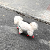 Darrahopens Pet Care > Dog Supplies > Dog Apparel Waterproof Anti Slip Pet Shoes with Rubber Sole for Indoor and Outdoor Use Red - M