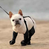 Darrahopens Pet Care > Dog Supplies > Dog Apparel Waterproof Pet Boots Dog Rain Shoes for Outdoor Use - XS