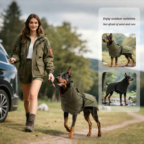 Darrahopens Pet Care > Dog Supplies > Dog Apparel Windproof Rainproof Outdoor Pet Coat-olive green