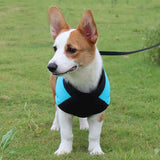 Darrahopens Pet Care > Dog Supplies > Dog Apparel Winter Dog Ski Jacket with Waterproof and Windproof Polyester Shell, Thick PP Cotton Padding for Warmth, 3D Ergonomic Fit with D-Ring Leash Attachment, Ideal for Outdoor Walks and Snow Adventures (3XL, Green)