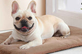 Darrahopens Pet Care > Dog Supplies > Dog Beds 2Pcs Pet Blanket Self-Heating Bed Pad Cat Dog Self-Warming Cushion-Khaki S