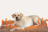 Darrahopens Pet Care > Dog Supplies > Dog Beds 2Pcs Pet Blanket Self-Heating Bed Pad Cat Dog Self-Warming Cushion-Khaki XL