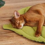 Darrahopens Pet Care > Dog Supplies > Dog Beds Double-Sided Available Pet Mattress Pad Leaf Shape Puppy Cat Bed Mat Style 1