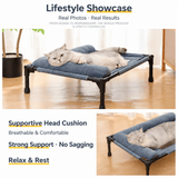 Darrahopens Pet Care > Dog Supplies > Dog Beds Elevated Pet Cot with Bolster Cushion for Cats and Small Dogs, Breathable Mesh Bed for Indoor Living Room and Bedroom Comfort (Army Green) In Australia - Darrahopens