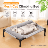 Darrahopens Pet Care > Dog Supplies > Dog Beds Elevated Pet Cot with Bolster Cushion for Cats and Small Dogs, Breathable Mesh Bed for Indoor Living Room and Bedroom Comfort (Army Green) In Australia - Darrahopens