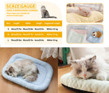 Darrahopens Pet Care > Dog Supplies > Dog Beds Green orthopedic dog bed, memory foam dog bed, dog bed for medium dogs, comfortable dog bed, durable dog bed, joint support dog bed, Australian pet bed