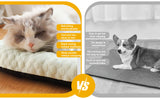 Darrahopens Pet Care > Dog Supplies > Dog Beds Green orthopedic dog bed, memory foam dog bed, dog bed for medium dogs, comfortable dog bed, durable dog bed, joint support dog bed, Australian pet bed