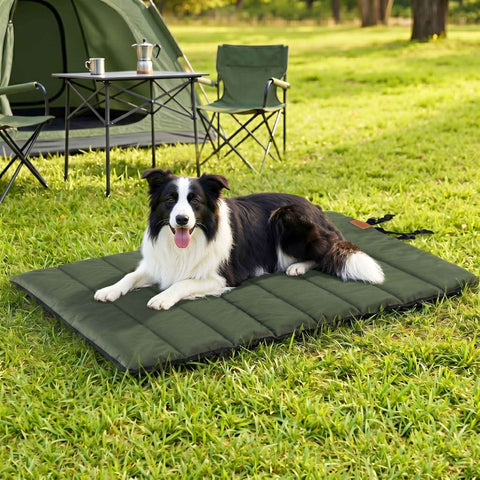 Darrahopens Pet Care > Dog Supplies > Dog Beds i.Pet Outdoor Dog Bed Large Water-resistant Washable Foldable Travel Dog Mat Green