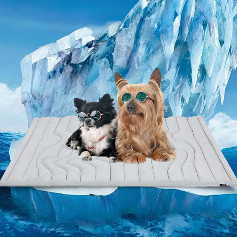 Darrahopens Pet Care > Dog Supplies > Dog Beds Pet Cooling Mat Self Cooling Pad for Dogs Cats Dual Sided Summer Sleeping Bed Grey Extra large (150x101cm)