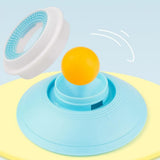 Darrahopens Pet Care > Dog Supplies > Dog Bowls, Feeders & Waterers 2PCS Non-Slip Slow Feeder Bowl for Dogs & Cats