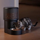 Darrahopens Pet Care > Dog Supplies > Dog Bowls, Feeders & Waterers Automatic Cat Feeder WiFi Automatic Dog Food Dispenser with Camera Remote