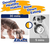 Darrahopens Pet Care > Dog Supplies > Dog Bowls, Feeders & Waterers CARLA HOME Interactive Dog Puzzle Toy Slow Feeder Treat Dispenser for Dogs & Cats