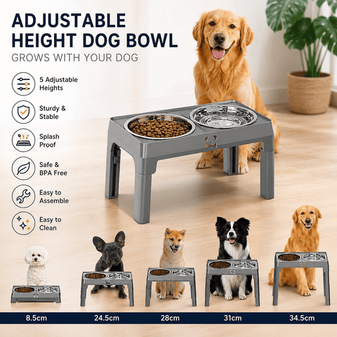 Darrahopens Pet Care > Dog Supplies > Dog Bowls, Feeders & Waterers Grey Adjustable Elevated Dog Bowl Stand with Stainless Steel Double Bowls, Foldable Raised Pet Feeding Station for Medium & Large Dogs, Anti-Slip Height Adjustable Food and Water Feeder
